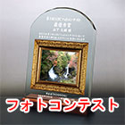 フォトコンテスト用のガラス盾